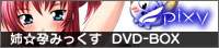 �o���s�݂������@DVD-BOX