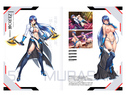 対魔忍グッズセット 2024 夏（対魔忍RPGXキャラクタービジュアルブックvol10、やっぱり孕ませて〜あなたをオカズにしちゃったのドラマCD、井河アサギB2タペストリー、対魔忍RPGX レンチキュラカード）