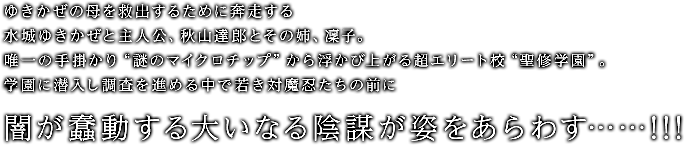 ゆきかぜの母を救出するために奔走する水城ゆきかぜと主人公、秋山達郎とその姉、凜子。唯一の手掛かり“謎のマイクロチップ”から浮かび上がる超エリート校“聖修学園”。学園に潜入し調査を進める中で若き対魔忍たちの前に闇が蠢動する大いなる陰謀が姿をあらわす……!!!